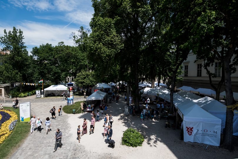 Kivágták a Nemzeti Múzeum kertjének legöregebb fáját
