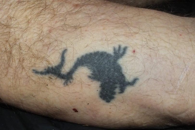 Fotó: jellegzetes tetoválása volt az M0-son talált holttestnek
