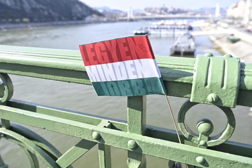 A Kutyapárt a tízéves születésnapján jelentette be, hogy egyedül indulnak a 2026-os választáson