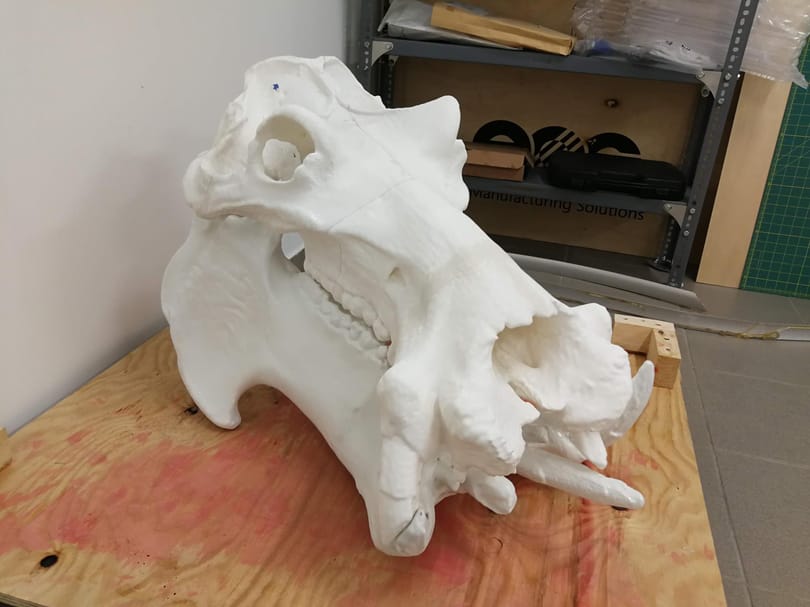 3D-nyomtatott állatcsorda várja a bevetést Pécsett
