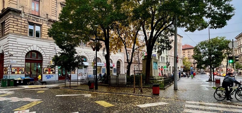 Kivágják a Harminckettesek tere egyik nagy fáját