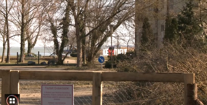 Kivágnak több tucat fát a Balaton partján Keszthelyen