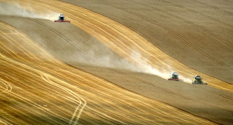 Önkényes szövetkezések: a nagyurak maguk között osztják fel az országot