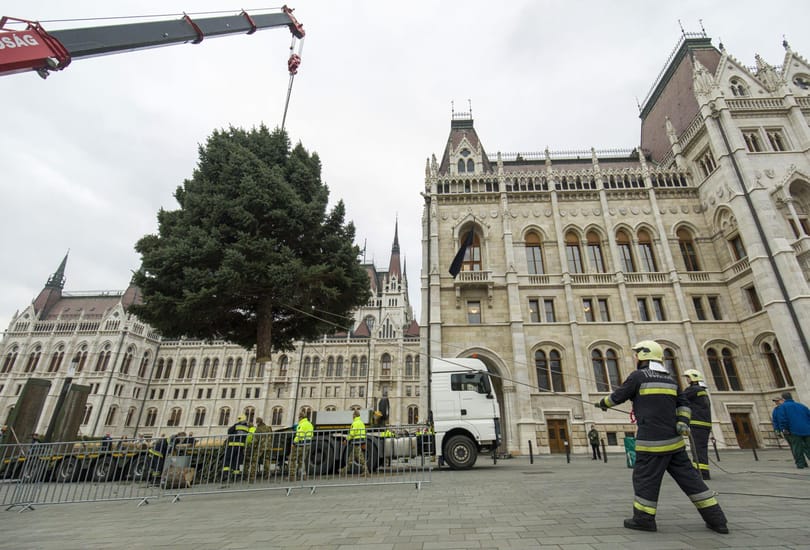Az EU csak a földlabdás karácsonyfákat támogatná, de a magyar kormány közbelép