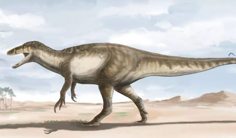 Megaraptor maradványait ásták ki kutatók, 9-10 méteres lehetett