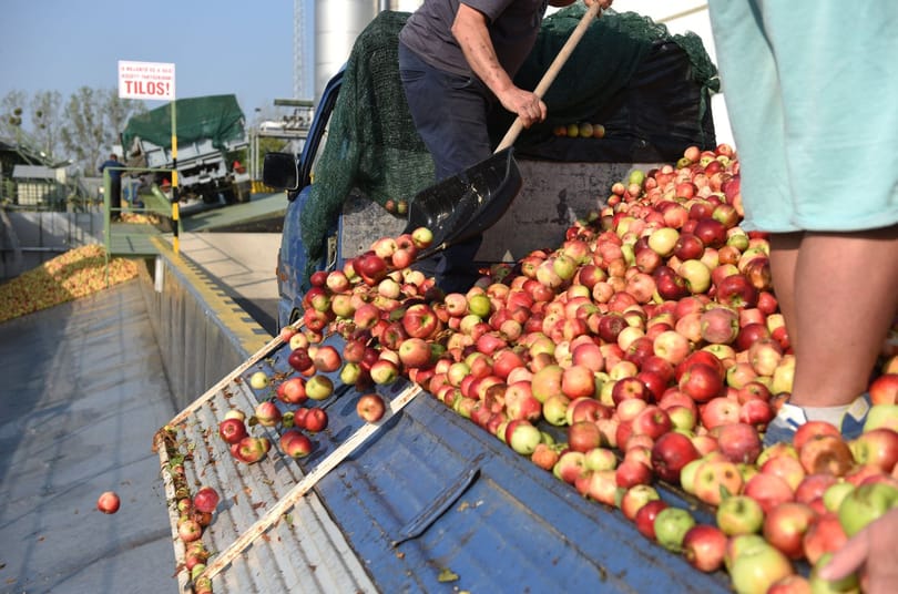 Az Austria Juice-ból is kipréselték a 20 forintos árat a gazdák, de még így is hatalmasat buknak