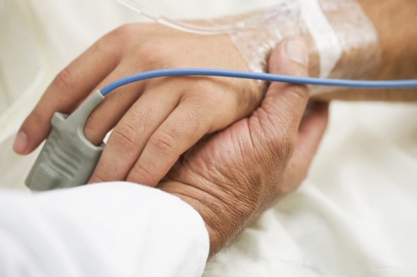 Medián: A magyarok kétharmada elfogadná a „kegyes halál