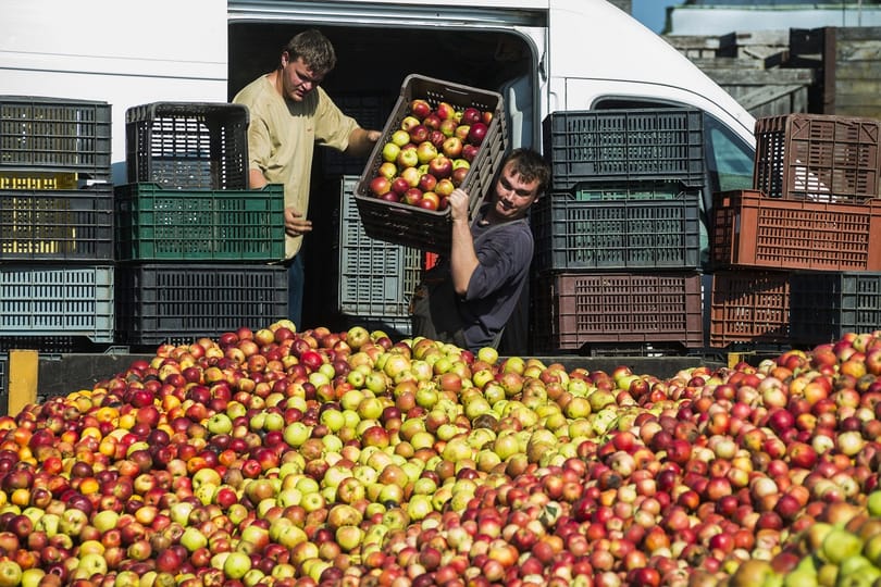 A lengyelországi havazás segíthet a vergődő magyar almatermelőkön