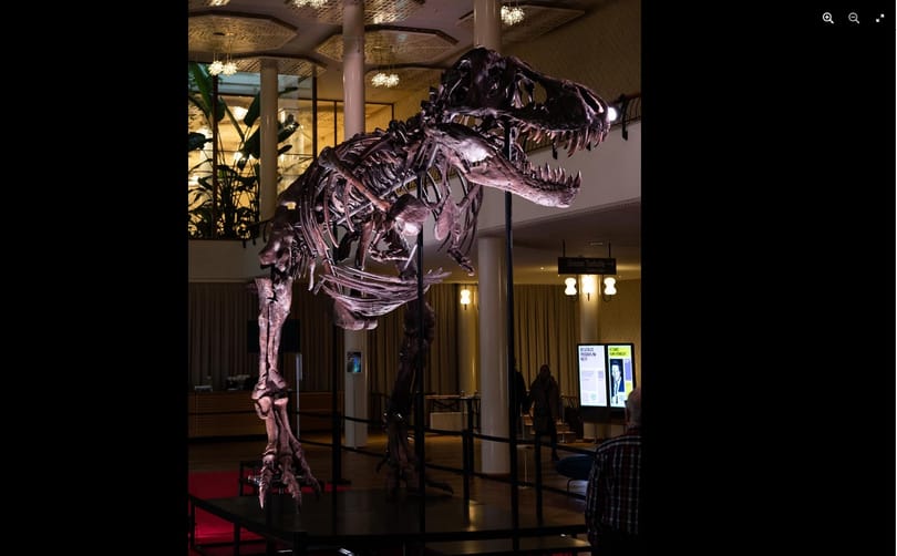 Valaki több mint 2 milliárd forintnyi svájci frankért vett magának egy T-rex-csontvázat