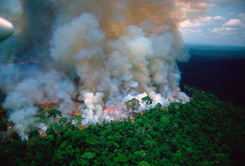 A brazil kormány mégsem hagy fel az Amazonas védelmével – legalábbis szavakban