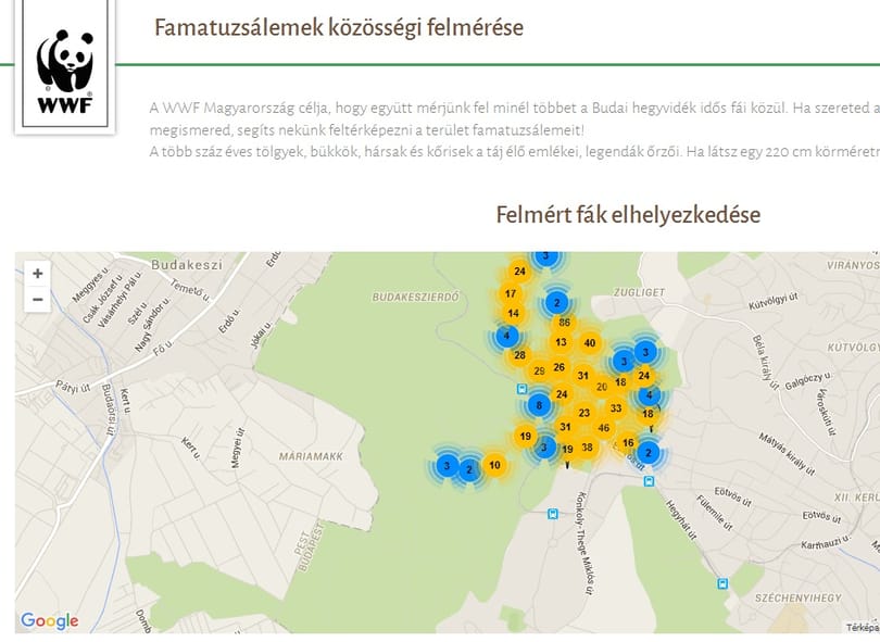 Treespotting a Normafánál: ilyen térképet még kevesen láthattak