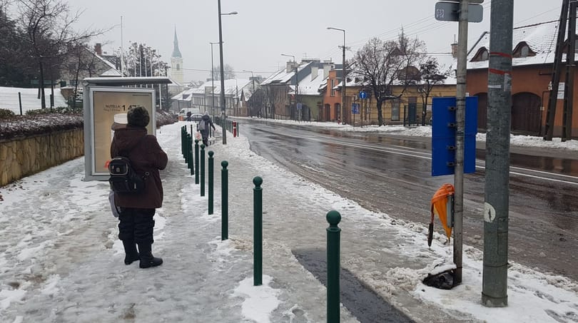 A jég súlya alatt leszakadt faágak okoznak fennakadásokat