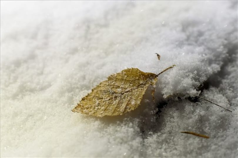 Fagyos, de száraz idővel indul a december