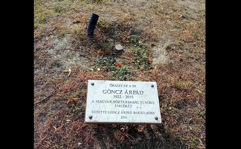 Kivágták Göncz Árpád emlékfáját Óbudán, vélhetően elszáradhatott