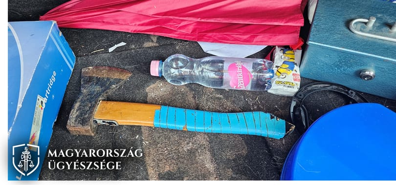 Megkínozta és megölte volna szüleit egy fiú