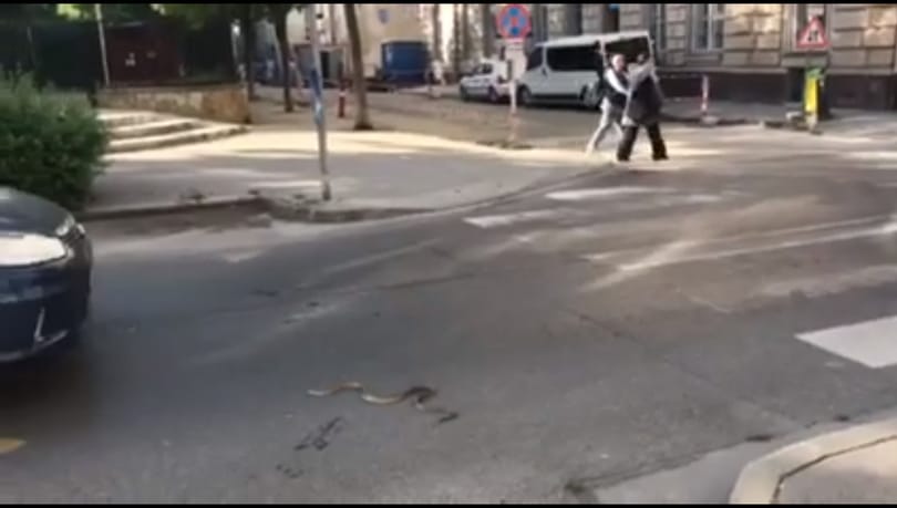 Siklót videóztak le a Wesselényi utcán