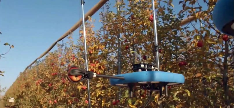 Intelligens gyümölcsszüretelő robotot mutatott be egy izraeli cég