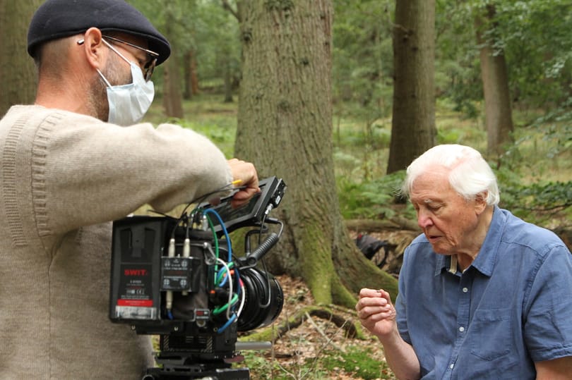 Guardian: Jobboldali kritikáktól tart, ezért nem adja le a BBC David Attenborough dokumentumfilmjét