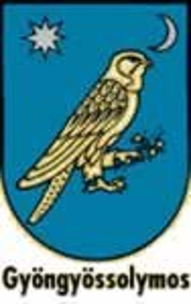 „Jogsértő az állampolgárokat kitiltó gyöngyössolymosi döntés”