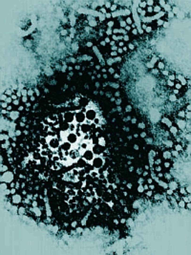 Budapesten él a legtöbb hepatitis C-s intravénás drogos