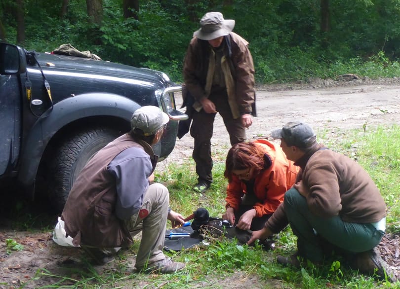 GPS-jeladót szereltek Jenőre és Beára