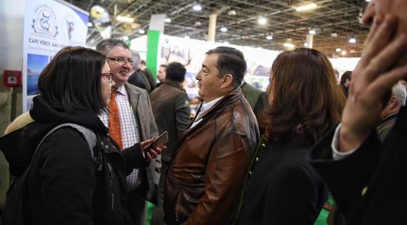 Tóta W.: Intés nagyuraknak, villanyoltás előtt