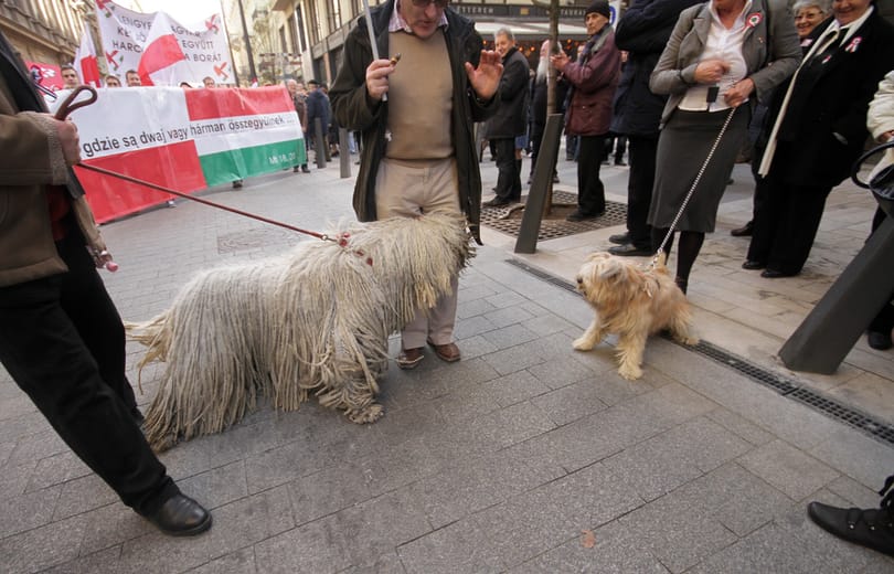 Március 15. megmutatta volna, hogy Orbán a legkisebb rossz?