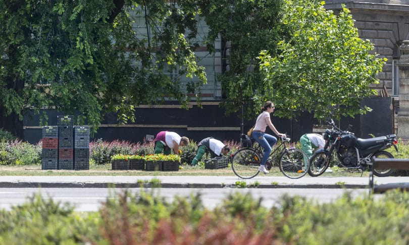 Vallomást tett a parkfenntartási biznisz központi figurája: aggódhatnak a kormánypárti és a baloldali szereplők is