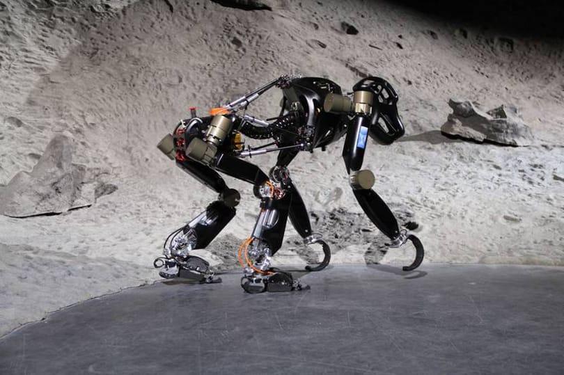 Nézze meg Károlyt, a strapabíró robotmajmot