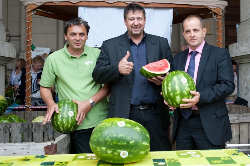 Már exportálják a magyar dinnyét