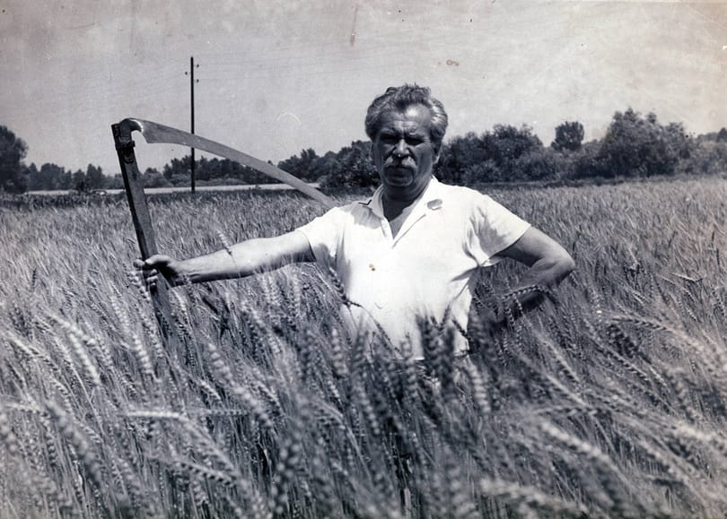 Móricz Zsigmond regényéből készül a „magyar Kártyavár”