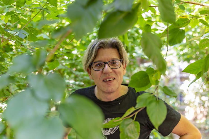 Lemásoljuk a természet önfenntartó rendszerét – Mark Richards komposztmester bemutatja burjánzó józsefvárosi kertjét
