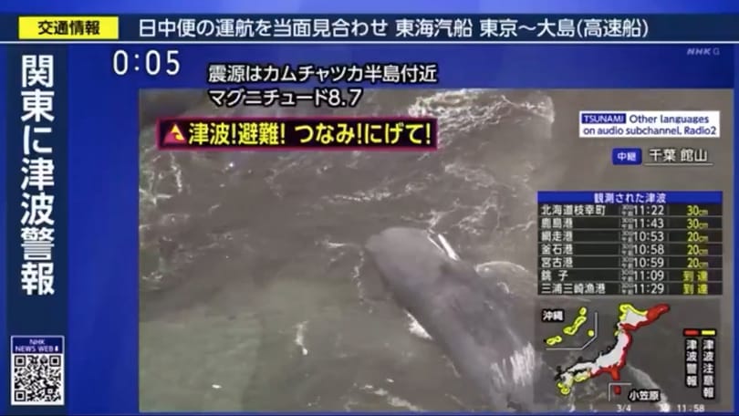 Élőben közvetítette a japán tévé, hogy bálnákat mos partra a cunami – videó