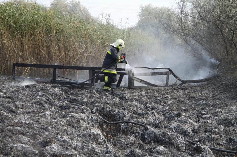Több hektáron égett a nádas a Velencei-tó partján