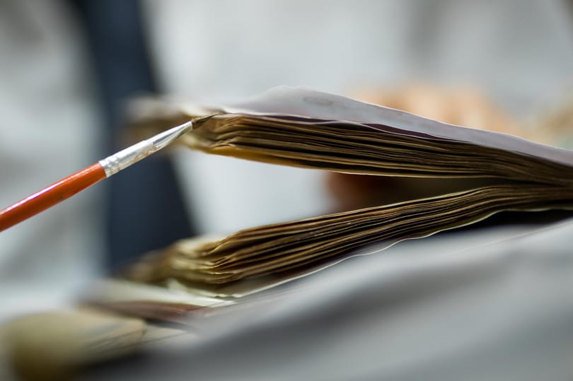 Megfejtették az eddig érthetetlen Voynich-kézirat rejtélyét
