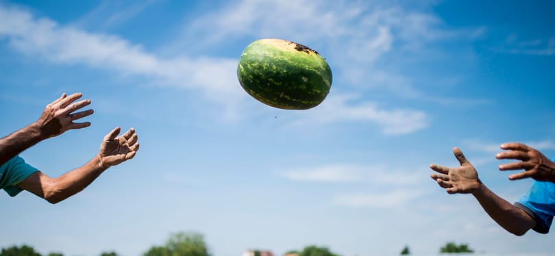 Már a kanyarban van a dinnyeszezon, de lesz-e idén olcsó gyümölcs?