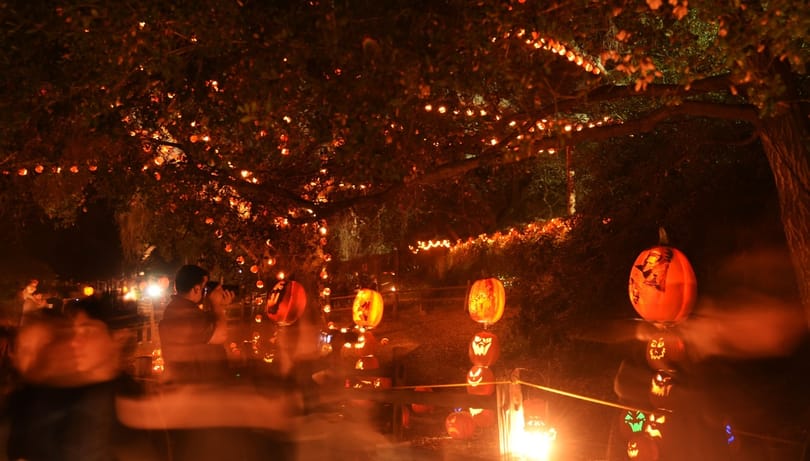 Hét nőt fogdosott meg egy jordán férfi a halloweeni felvonuláson Essenben