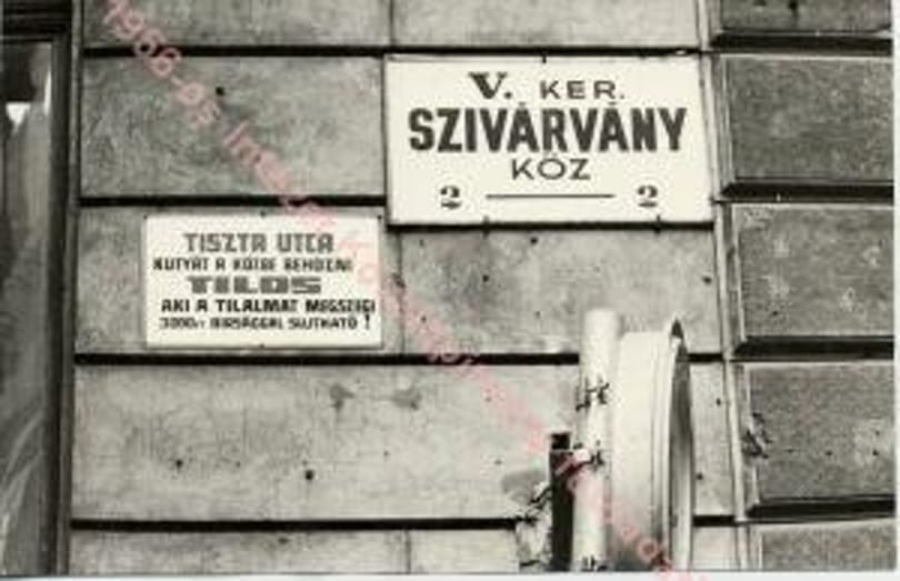 Tóta W.: Nem egy az ország