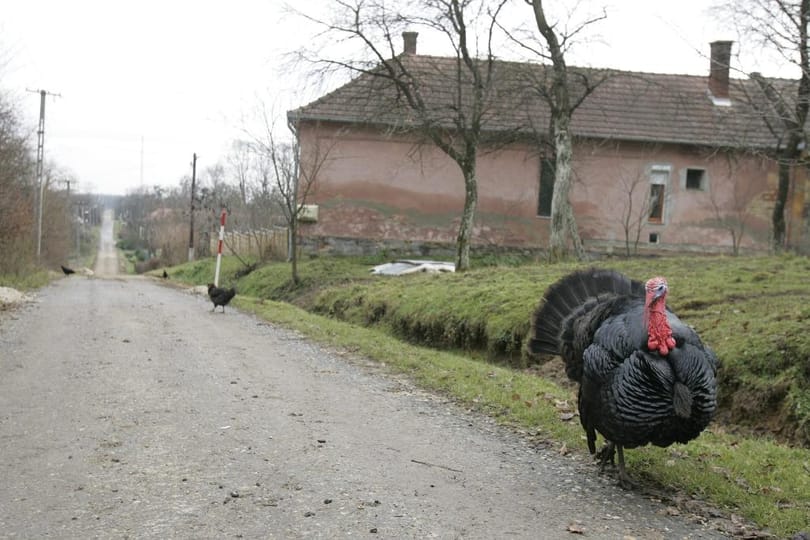 Tudta, hogy van egy zsákfalu, amely város?