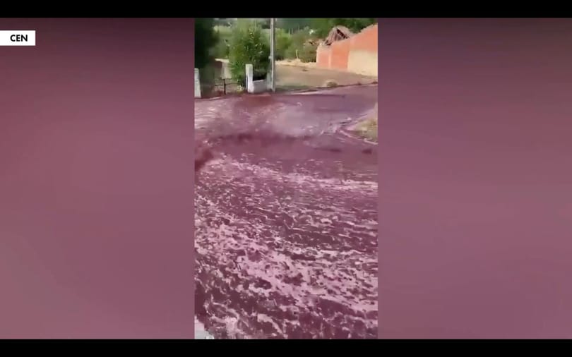 Kétmillió liter vörösbor hömpölygött egy portugál kisváros utcáin - videó