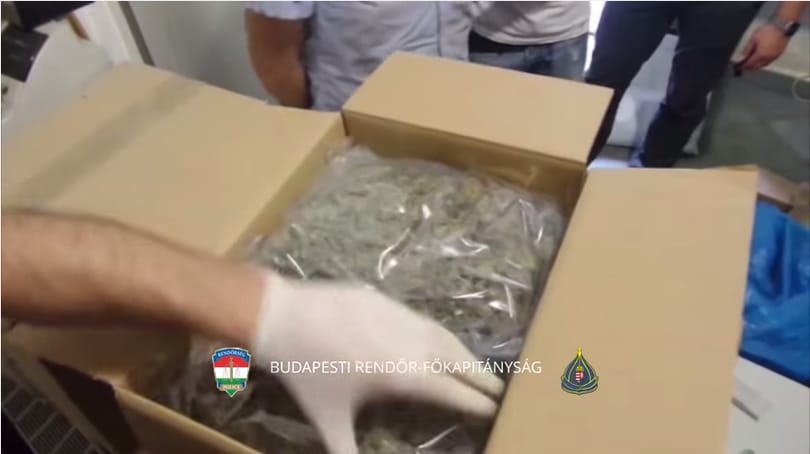 Droggal teli üzletre csaptak le a rendőrök Erzsébetvárosban – videó