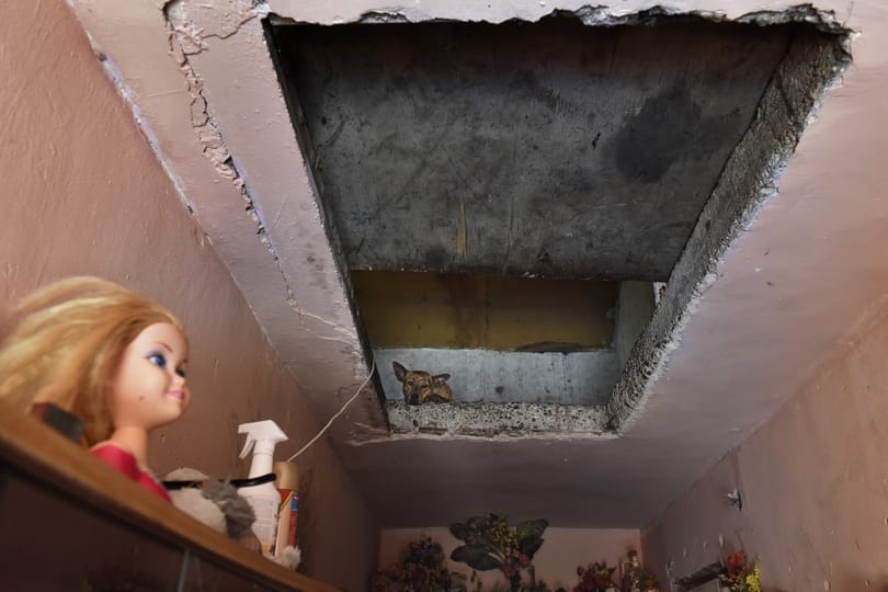 Magyarországnál nehezebben csak Mexikóban és Törökországban tud boldogulni egy szegény diák
