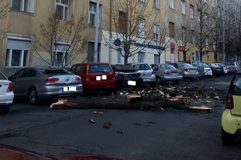A síneken rekedt egy utasokkal teli vonat, fa dőlt a Hidegkúti útra – sűrű a reggel a tűzoltóknak