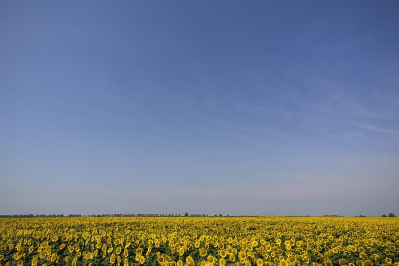 Előre jelzik ezentúl, lesz-e baj másnap az UV-sugárzással vagy sem