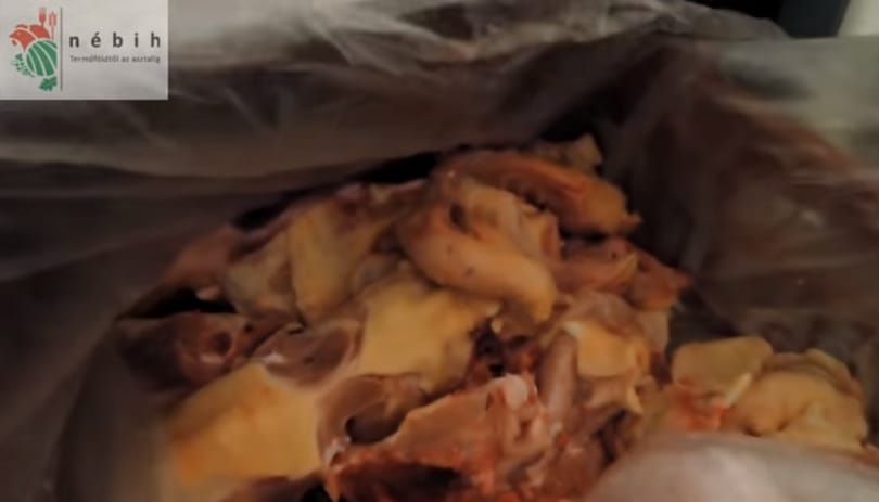 Henteseknél forgatták a Nébih újabb leleplező videóját