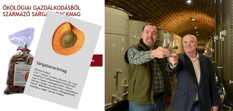 Lázár most már sürgeti L. Simont