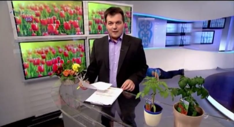 Mostantól semmi sem lesz olyan, mint régen: megszűnik a Kívánságkosár