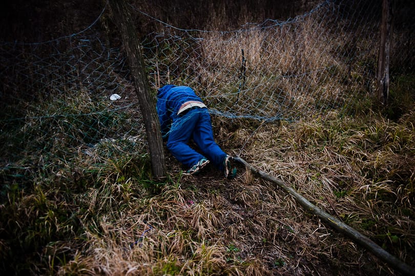 Jön a karácsony és a fenyőfalopási szezon