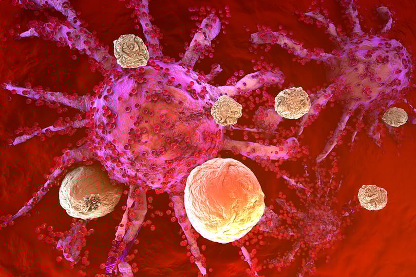 Megszámolták az ember összes immunsejtjét: mennyi van belőlük, mennyit nyomnak és hol találhatók?