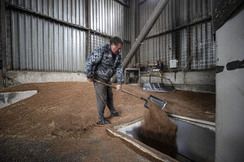 Brüsszel kivár a kötelezettségszegési eljárás megindításával gabona-ügyben - de napirenden van a téma